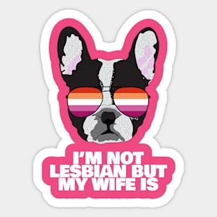 Funny I'M NOT LESBIAN BUT MY WIFE IS - Boston Terrier Dog Lesbian Pride Flag Sticker